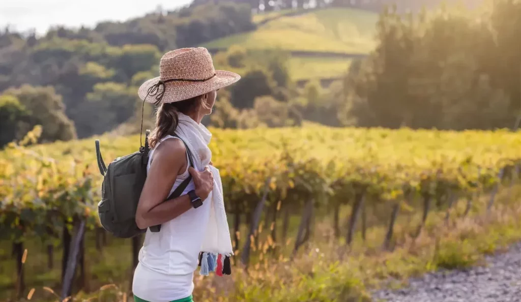 Saint-Émilion, destination accueillante, tourisme Gironde, vin Saint-Émilion, patrimoine UNESCO, Traveller Review Awards, voyage œnologique, escapade romantique France, village médiéval France, vignobles bordelais