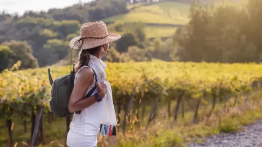 Saint-Émilion, destination accueillante, tourisme Gironde, vin Saint-Émilion, patrimoine UNESCO, Traveller Review Awards, voyage œnologique, escapade romantique France, village médiéval France, vignobles bordelais