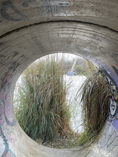 camion dans lac Parempuyre