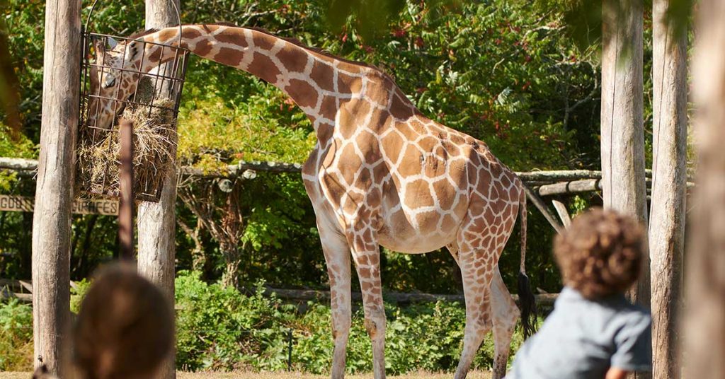 Activités en famille autour de Bordeaux en hiver Que faire à Bordeaux en hiver avec des enfants Sorties familiales près de Bordeaux pendant l’hiver Visiter Bordeaux en hiver avec des enfants Idées de loisirs en famille à Bordeaux en hiver