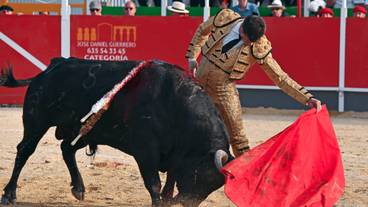 Corrida La Brède, Tradition taurine, Annulation corrida 2025, Tauromachie France, Événement tauromachique, Crise financière corrida, Pénurie de taureaux, La Brède tauromachie, Controverse corrida, Culture taurine Gironde.