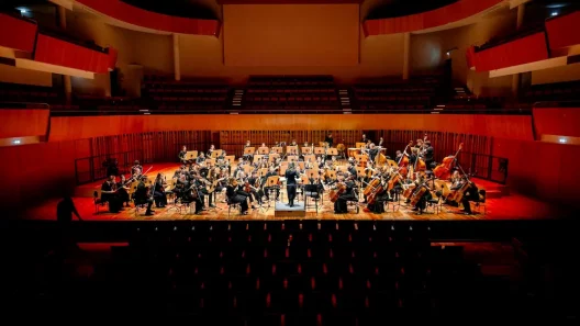 Nuit des Conservatoires : une odyssée artistique au cœur de Bordeaux