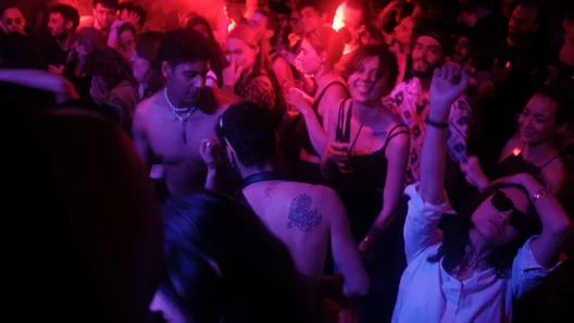 Bordeaux : une rave party illégale réunit plusieurs centaines de fêtards aux Bassins à flot