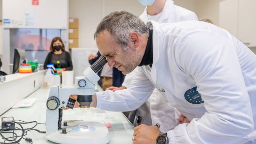 Université de Bordeaux : un laboratoire évacué après la découverte d’un composé chimique instable