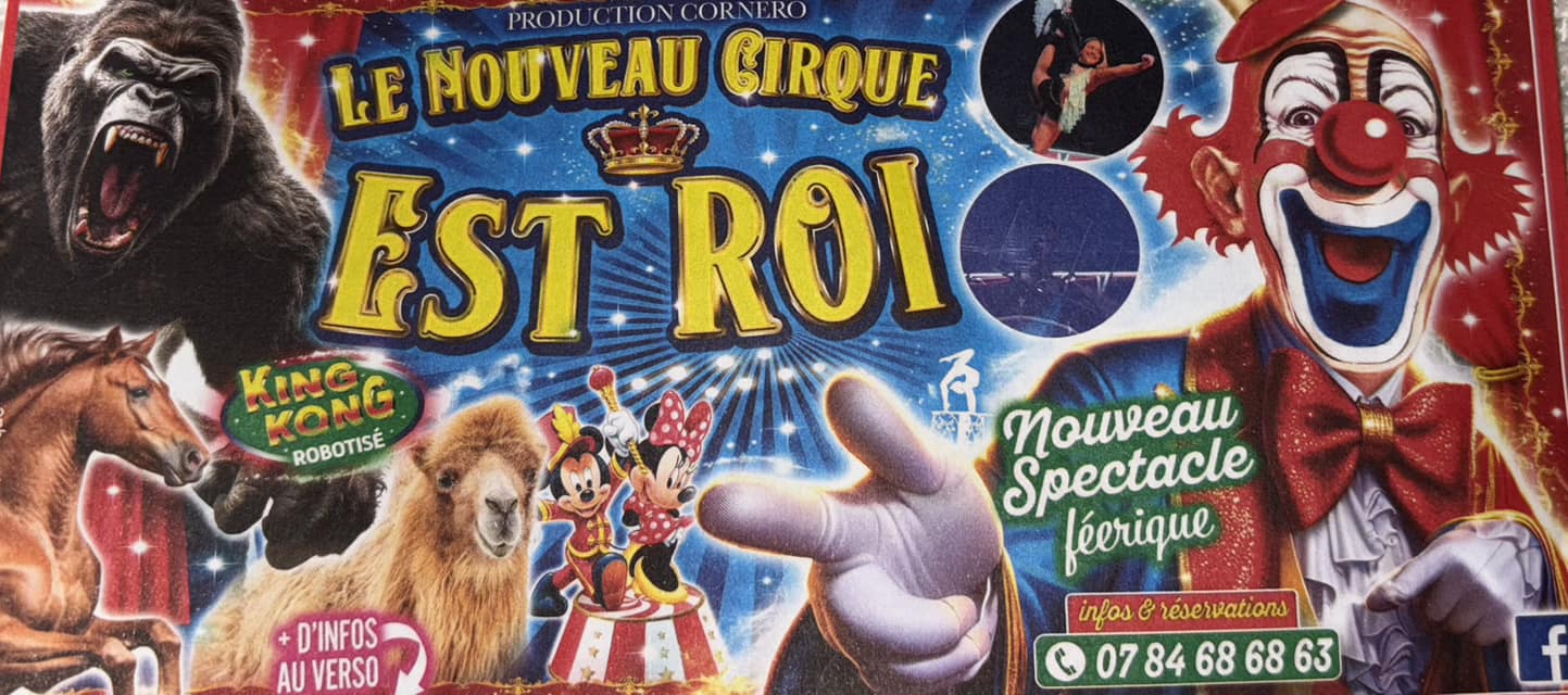Pessac : un cirque s’installe sans autorisation, la mairie dépose plainte