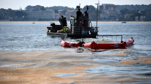 Pollution du bassin d'Arcachon : l'enquête s’accélère avec la garde à vue de deux dirigeantes du Siba et de Veolia