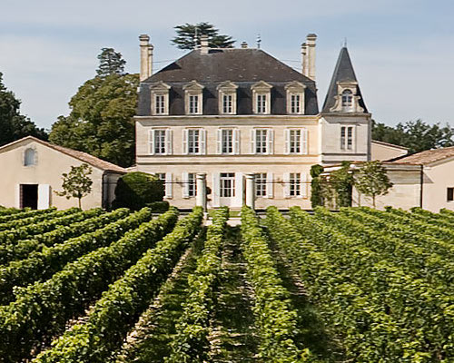 Château Le Puy : l’avant-garde du vin naturel