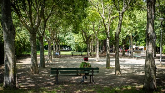 Bordeaux Métropole : les citoyens appelés à choisir les projets pour rafraîchir leur ville