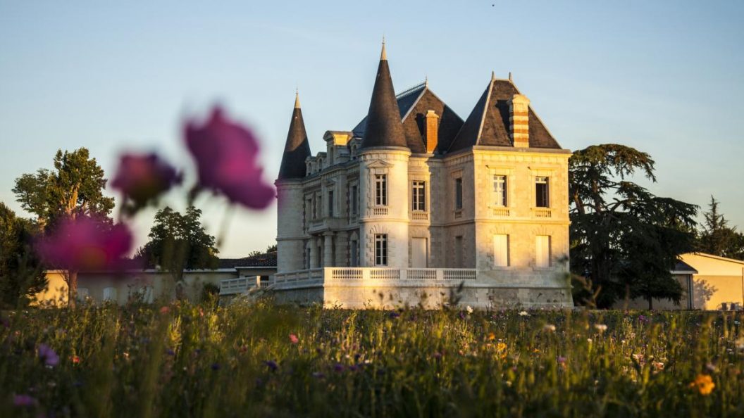 Les châteaux oubliés du Bordelais : joyaux cachés d’un vignoble d’exception