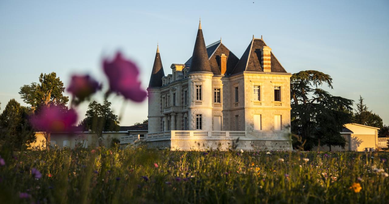 Les châteaux oubliés du Bordelais : joyaux cachés d’un vignoble d’exception