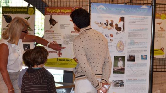 Gradignan déploie ses ailes : une année d’événements pour célébrer les oiseaux