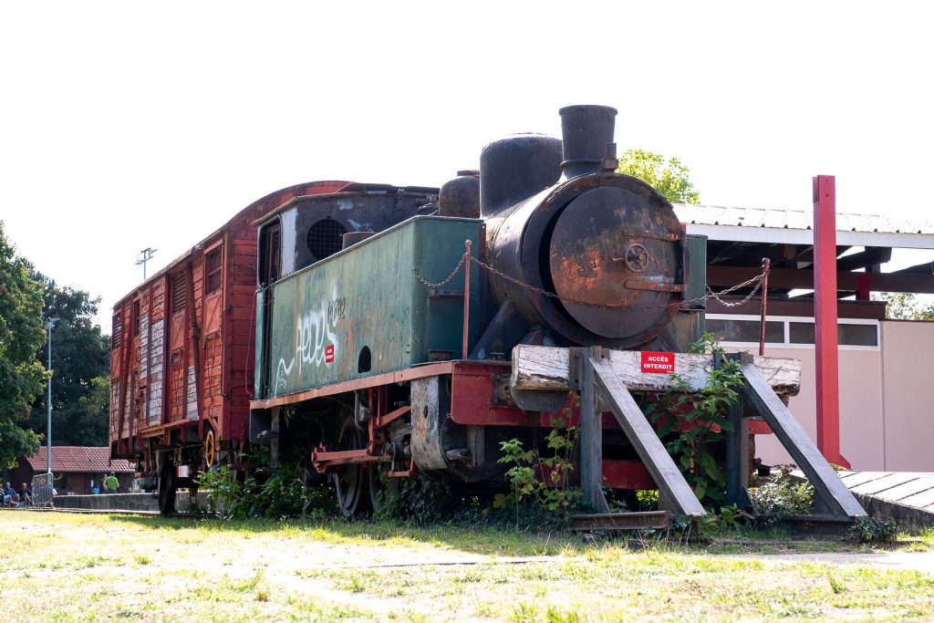 La voie ferrée de la Jalle : un sentier au cœur de la nature