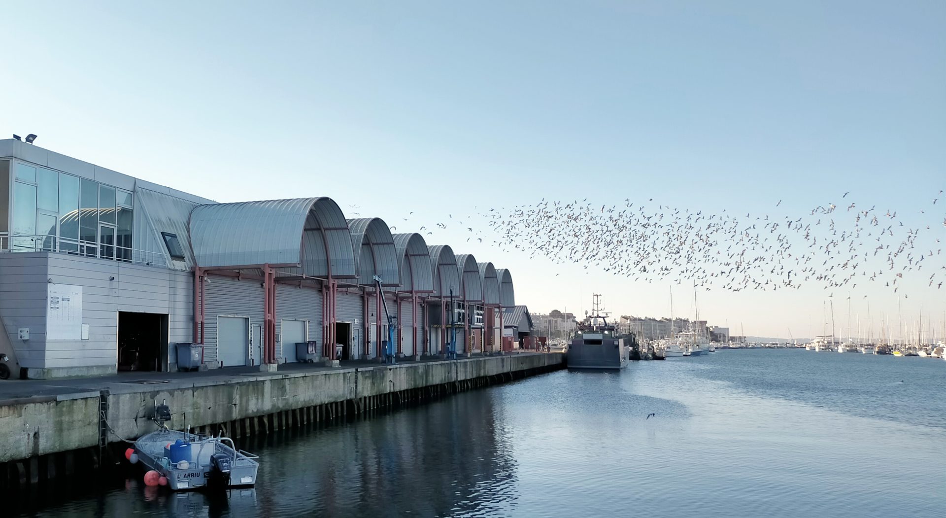 Arcachon : un jeune homme meurt après que sa voiture a plongé dans le port