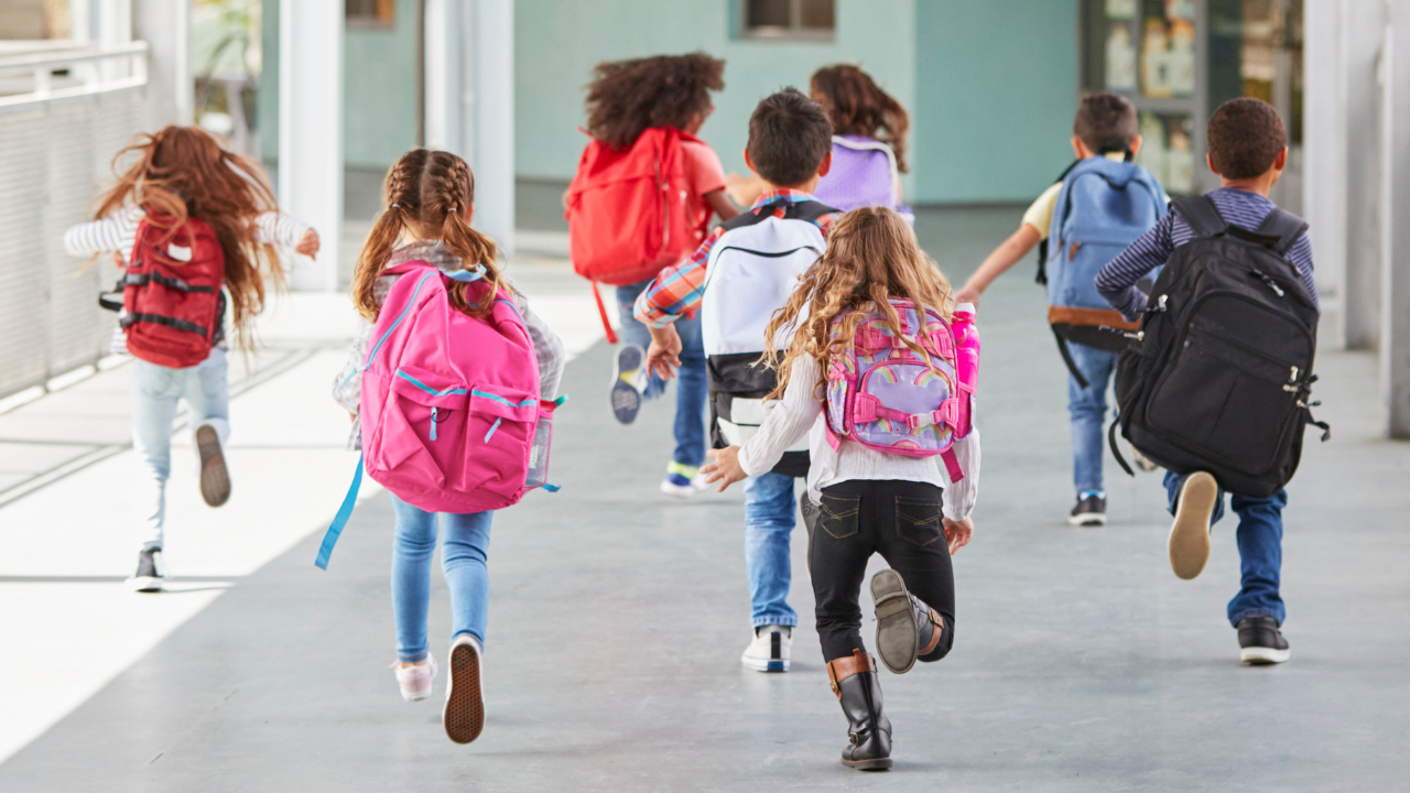 Bordeaux : les élèves du collège Auguste-Blanqui transforment leur cour en oasis écologique et inclusive