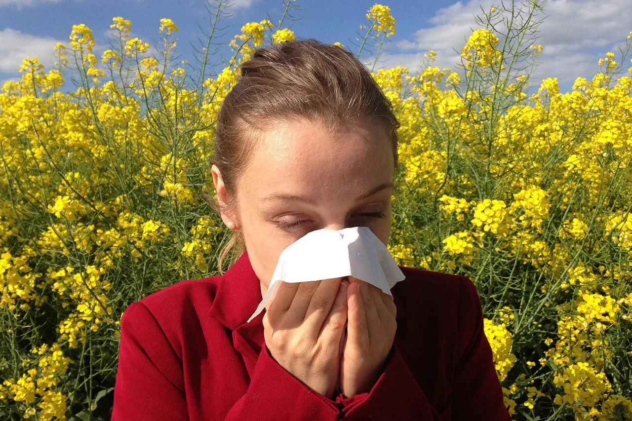 Allergies aux pollens en Gironde : vigilance accrue avec le retour du printemps