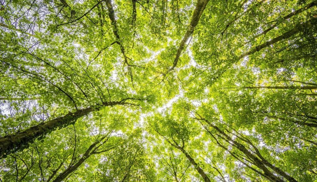 Le Bouscat : un mois de mars sous le signe de la convivialité et de l’engagement