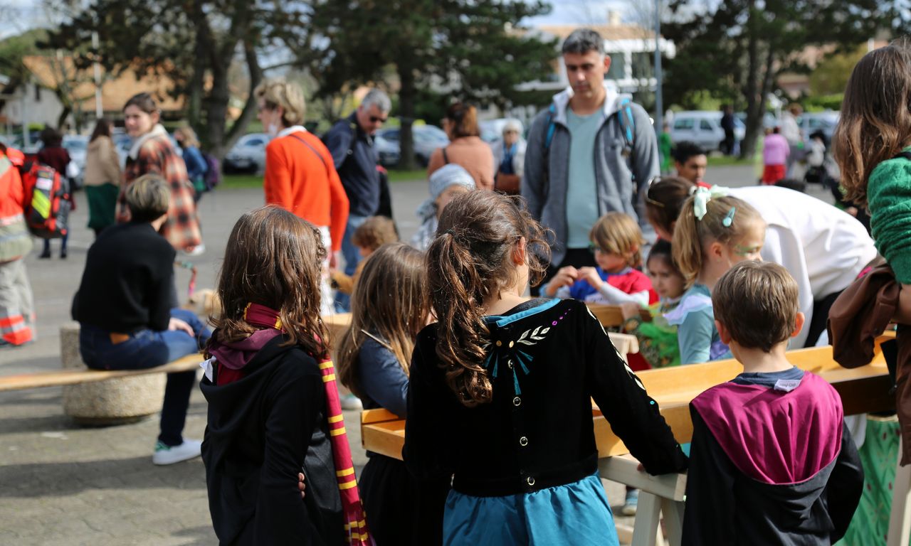 Gradignan en fête : un Carnaval 2025 haut en couleur sous le signe des oiseaux