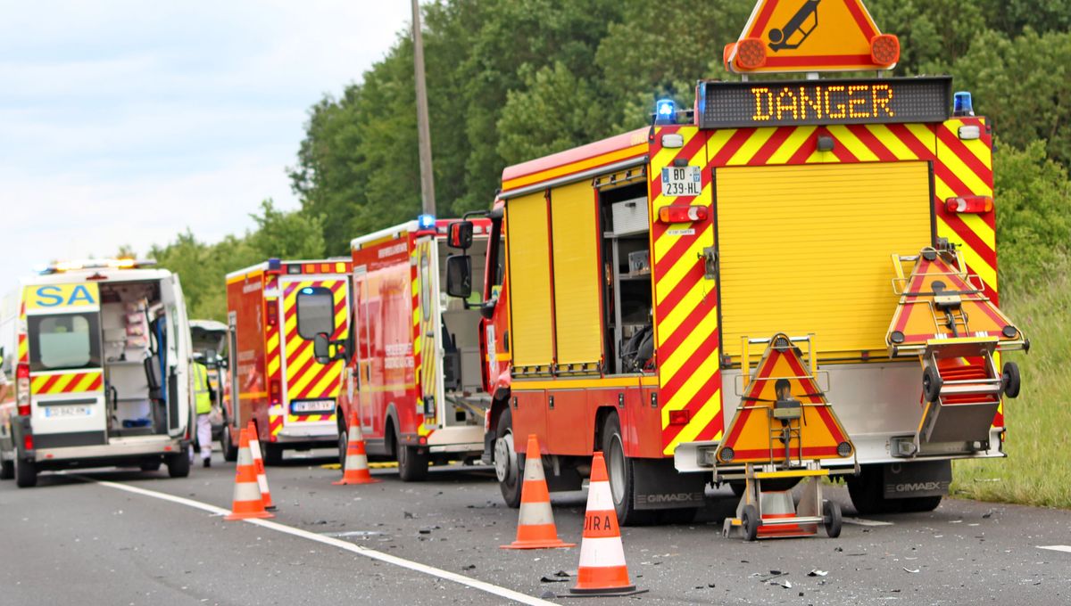 Gironde : un arbre chute sur l’A62, un suraccident fait un mort et plusieurs blessés graves