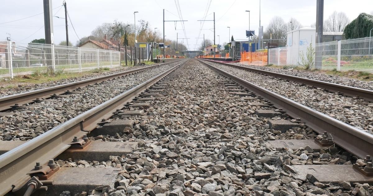 LGV Sud-Ouest : le tribunal rejette une demande de suspension, les travaux peuvent débuter