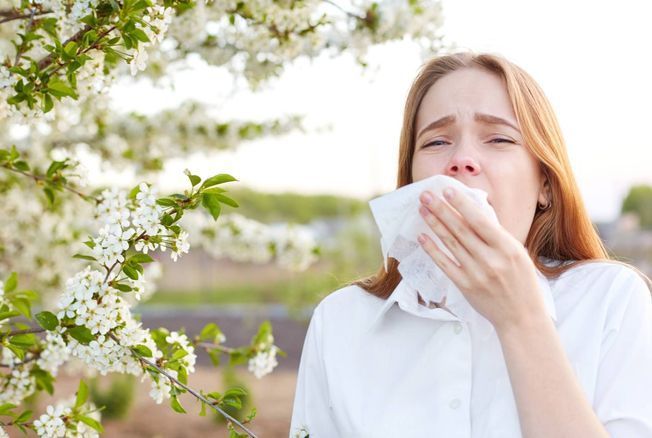 Planter sans faire pleurer : à Bordeaux, la végétalisation urbaine face au défi des allergies