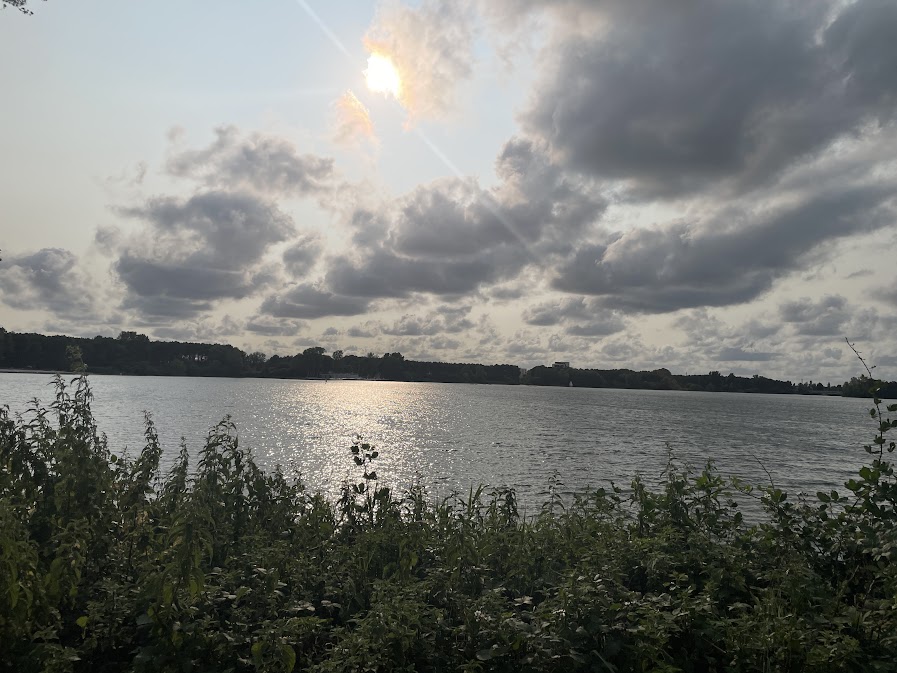 Cancers en hausse, sols contaminés : à Bordeaux, le cadmium inquiète les médecins