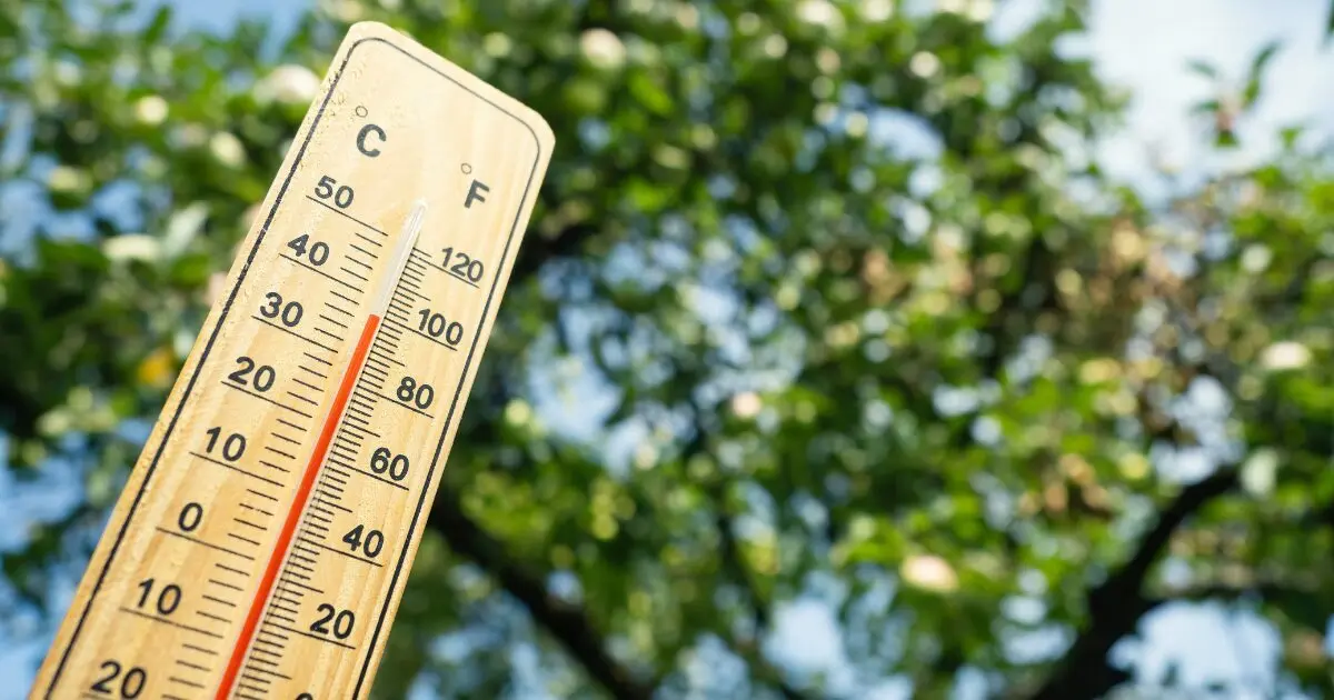 Vague de chaleur à Bordeaux : face à la canicule, renforcement des dispositifs municipaux