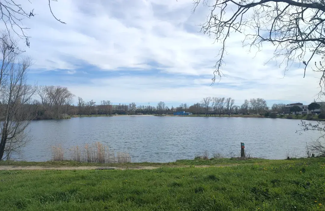 Bègles : enfant sauvée de la noyade dans un lac fermé à la baignade