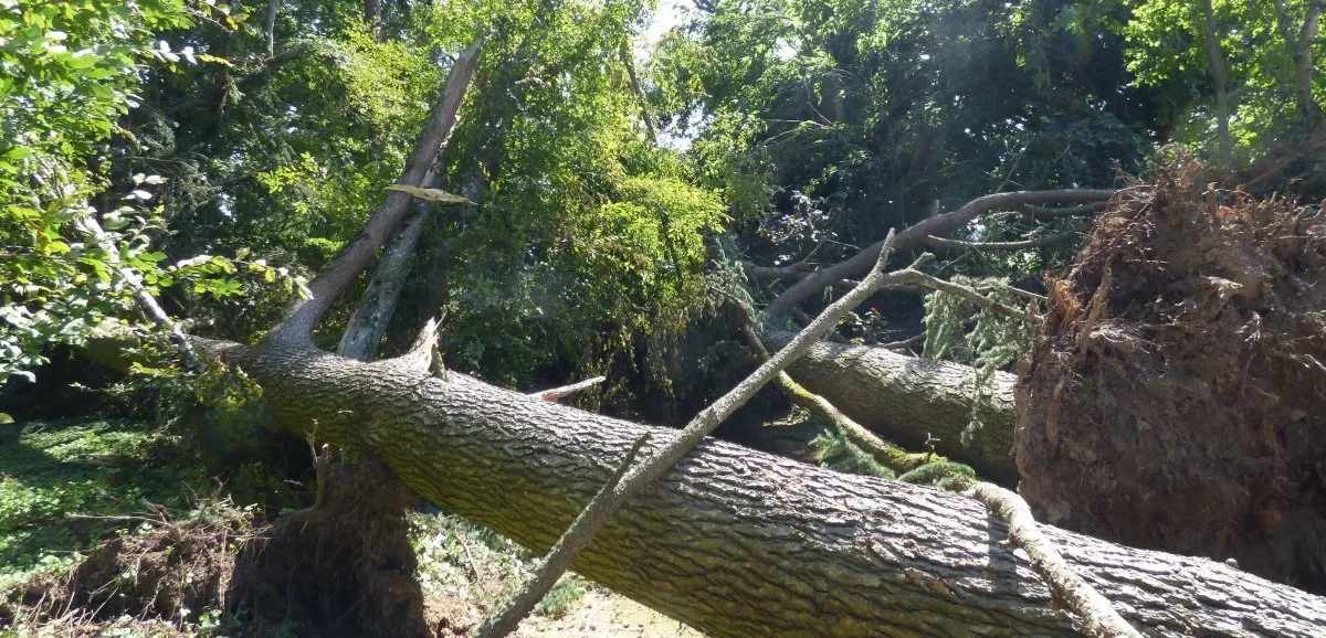 Toits arrachés, routes inondées : la Gironde frappée par la tempête