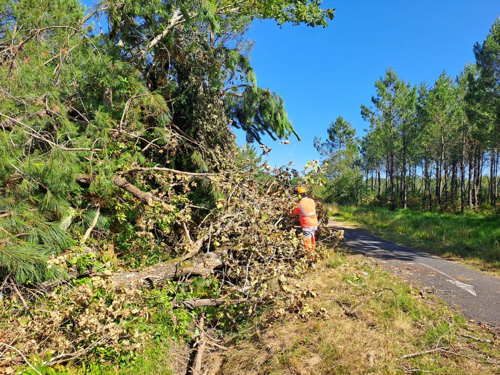 Réouverture progressive des voies cyclables en Médoc après les violents orages