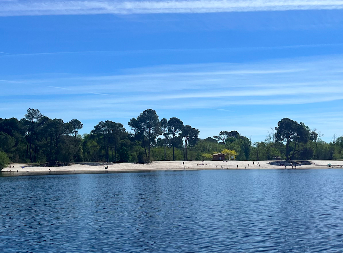 Gironde : alerte aux cyanobactéries, baignade suspendue à Hostens