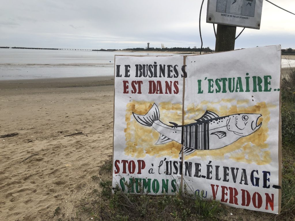 Pure Salmon au Verdon : "bombe rose” sur l’estuaire ? Rencontre avec Estuaire2050 qui monte au front