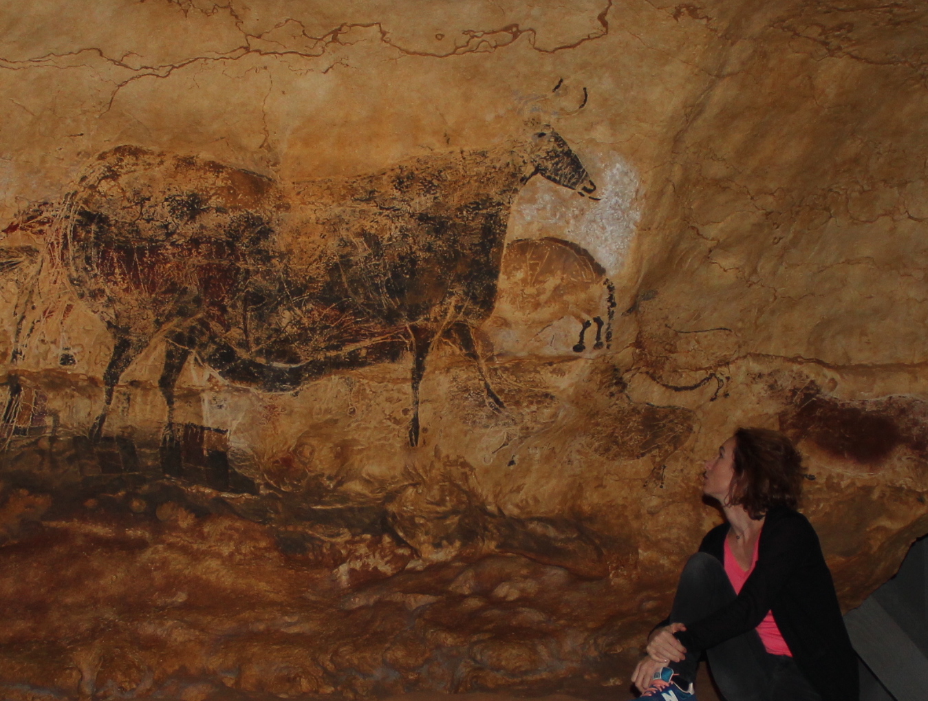 Bordeaux : Exposition Lascaux à Cap Sciences, une expérience sensorielle unique tout l’été