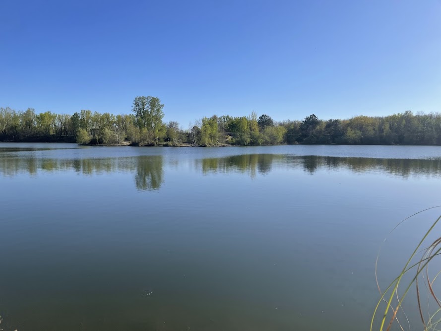 Parempuyre : présence de cyanobactéries, la Gravière Arboudeau sous surveillance
