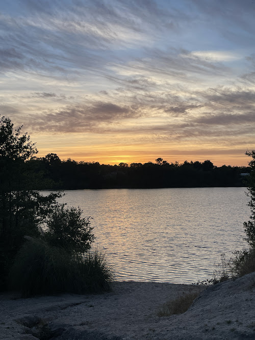 Parempuyre : présence de cyanobactéries, la Gravière Arboudeau sous surveillance