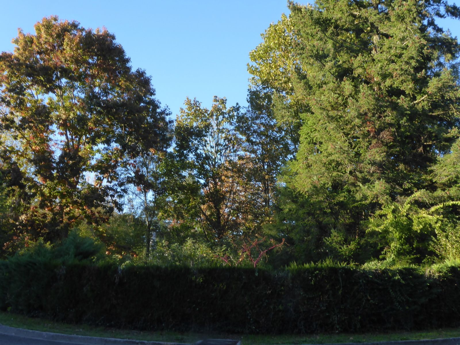 Le domaine Dupérier s’ouvre à la nature : Saint-Médard transforme un ancien site militaire en zone naturelle
