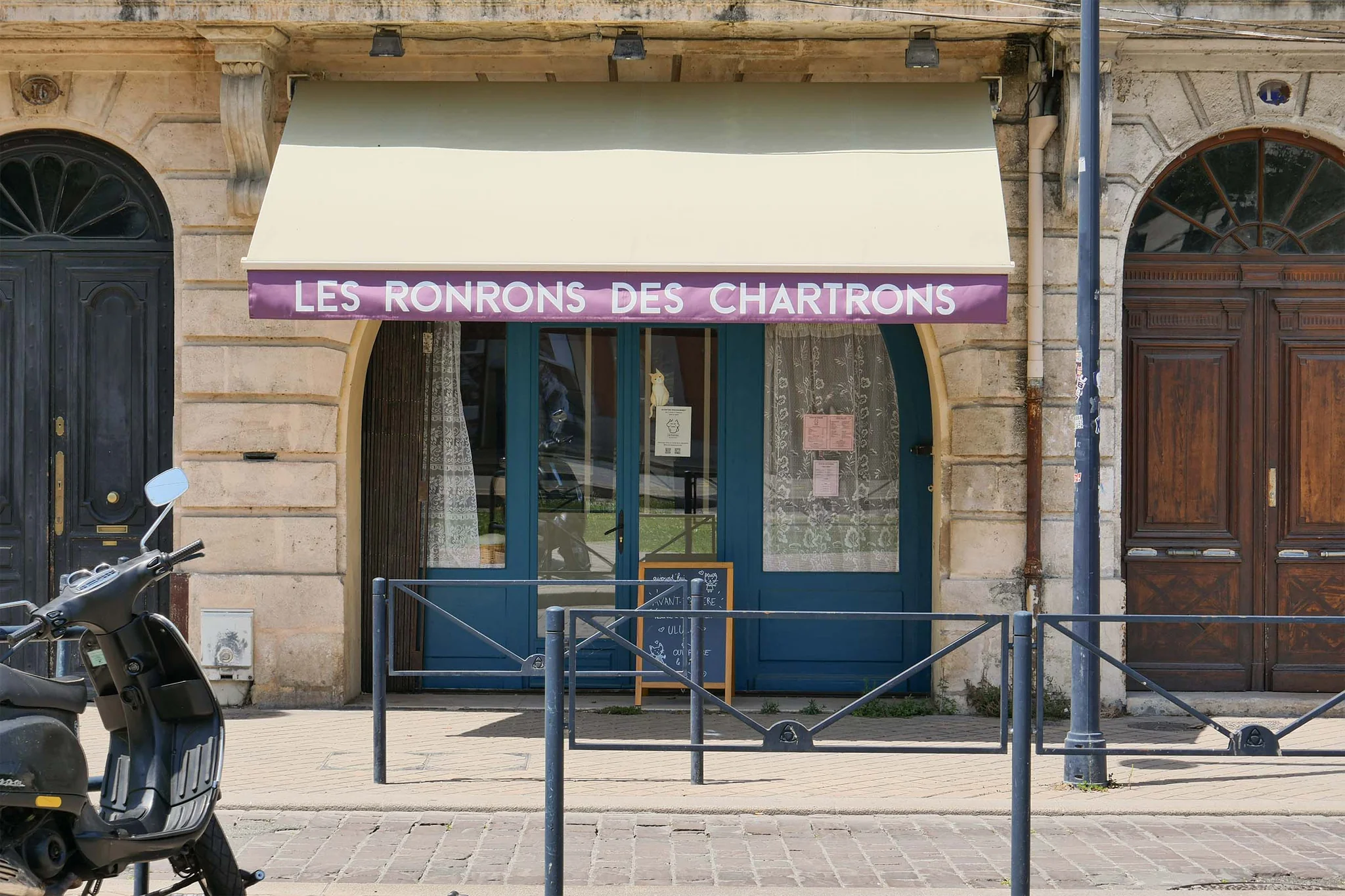 Bordeaux : le bar à chats Les Ronrons des Chartrons ferme ses portes