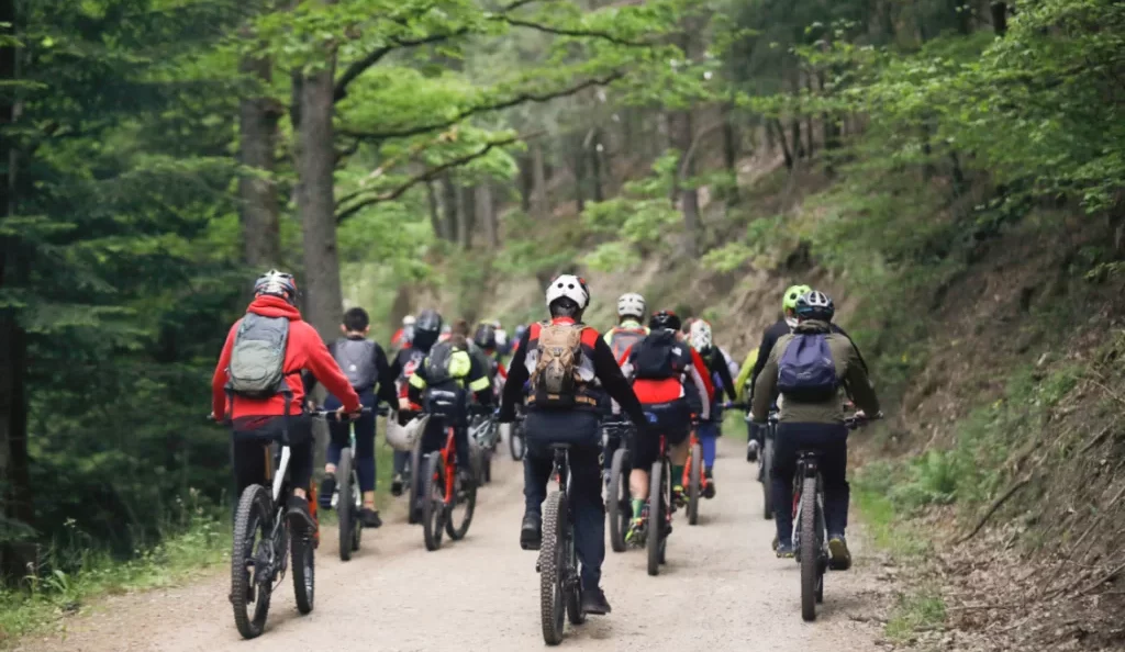 Mobilité douce : Le Teich déploie un circuit de 16 km pour ses habitants et visiteurs