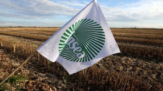 Sainte-Eulalie : FNSEA, des agriculteurs en colère contre l’accord UE-Mercosur