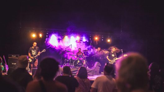 Blanquefort en fête avec le Festival « La Reine des Reynettes », au profit de Rose Médoc