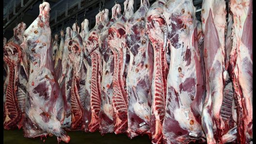 Bazas : Abattoir du Sud-Gironde, fermeture prolongée et inquiétudes pour les éleveurs locaux