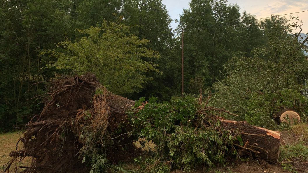 Tempête Benjamin : la Gironde sous les rafales, pompiers mobilisés et réseau électrique fragilisé