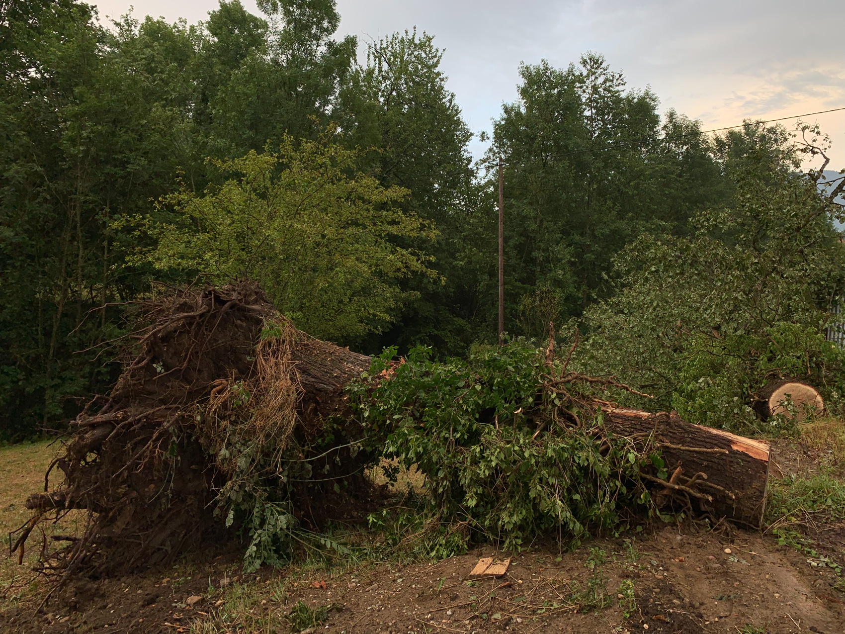 Tempête Benjamin : la Gironde sous les rafales, pompiers mobilisés et réseau électrique fragilisé