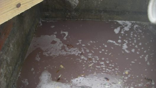 Excréments et eaux usées inondent des appartements à Villenave-d’Ornon