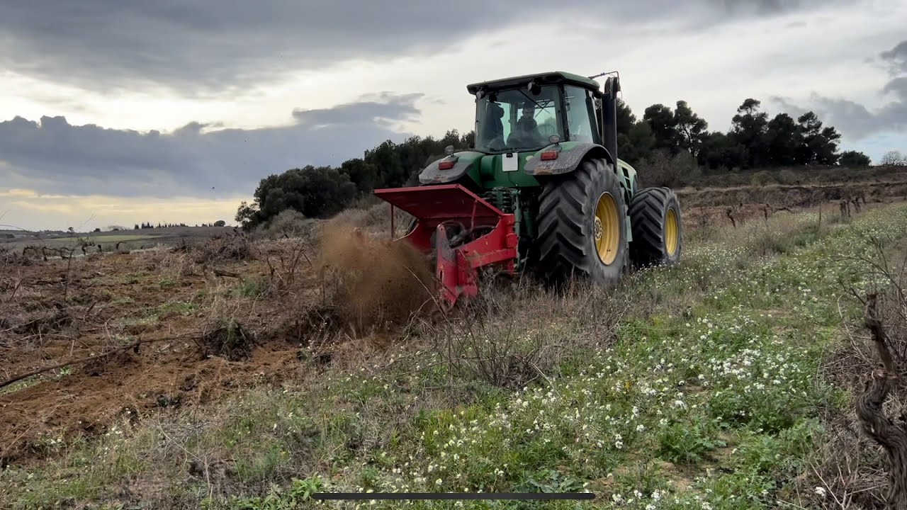 Vignoble bordelais : l’arrachage massif des vignes continu