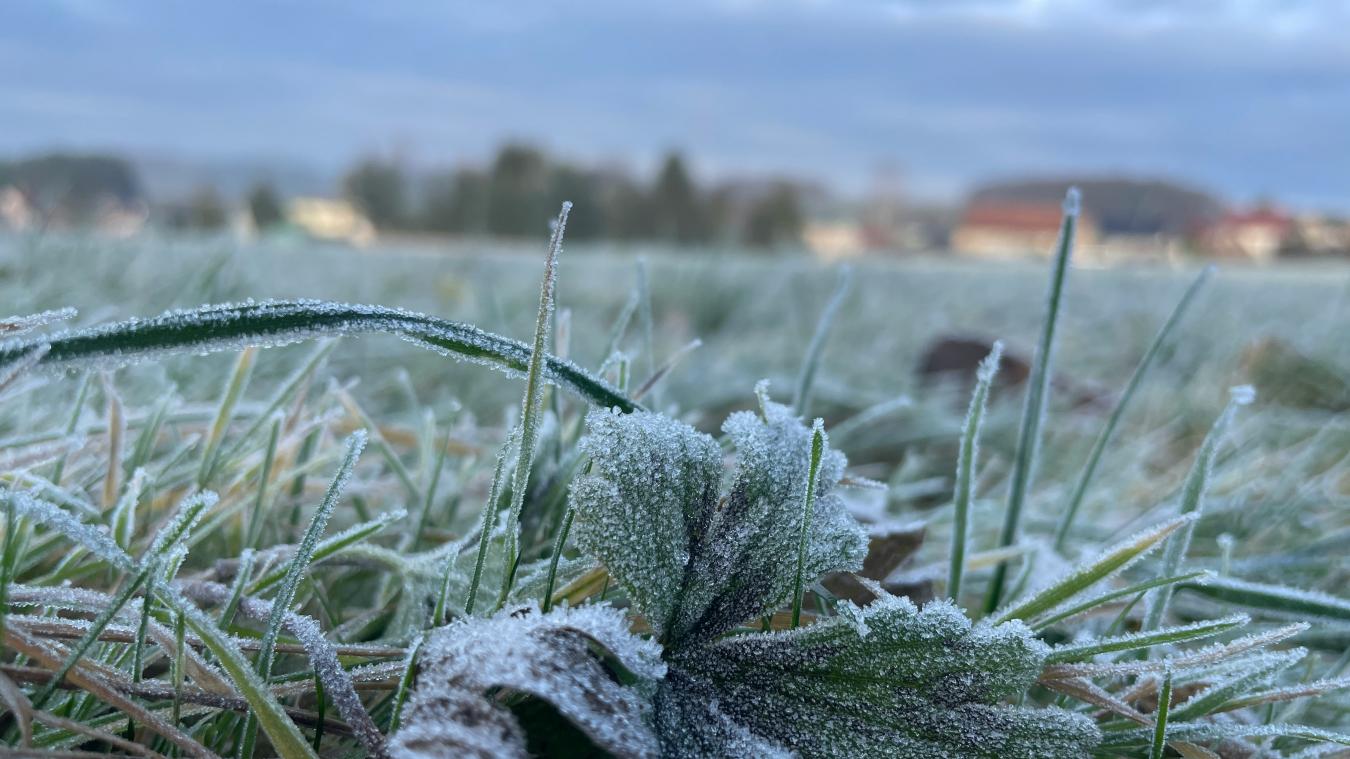 Météo : froid précoce en Gironde, gelées près de 1 °C attendues