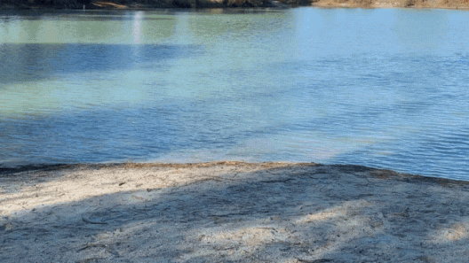 Ludon-Médoc : Paloumey, l’étang qui emprunte l’allure du Bassin d'Arcachon tout en restant médocain