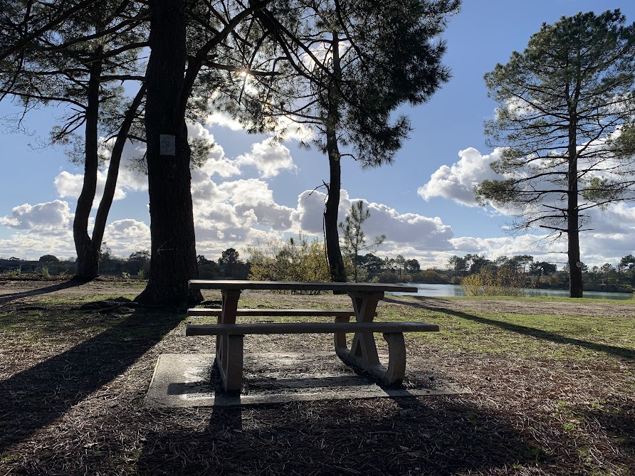 Ludon-Médoc : Paloumey, l’étang qui emprunte l’allure du Bassin d'Arcachon tout en restant médocain