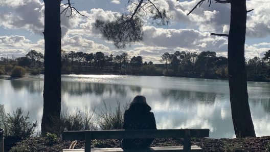 Ludon-Médoc : Paloumey, l’étang qui emprunte l’allure du Bassin d'Arcachon tout en restant médocain