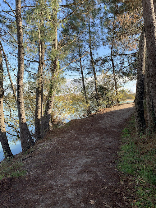 Ludon-Médoc : Paloumey, l’étang qui emprunte l’allure du Bassin d'Arcachon tout en restant médocain