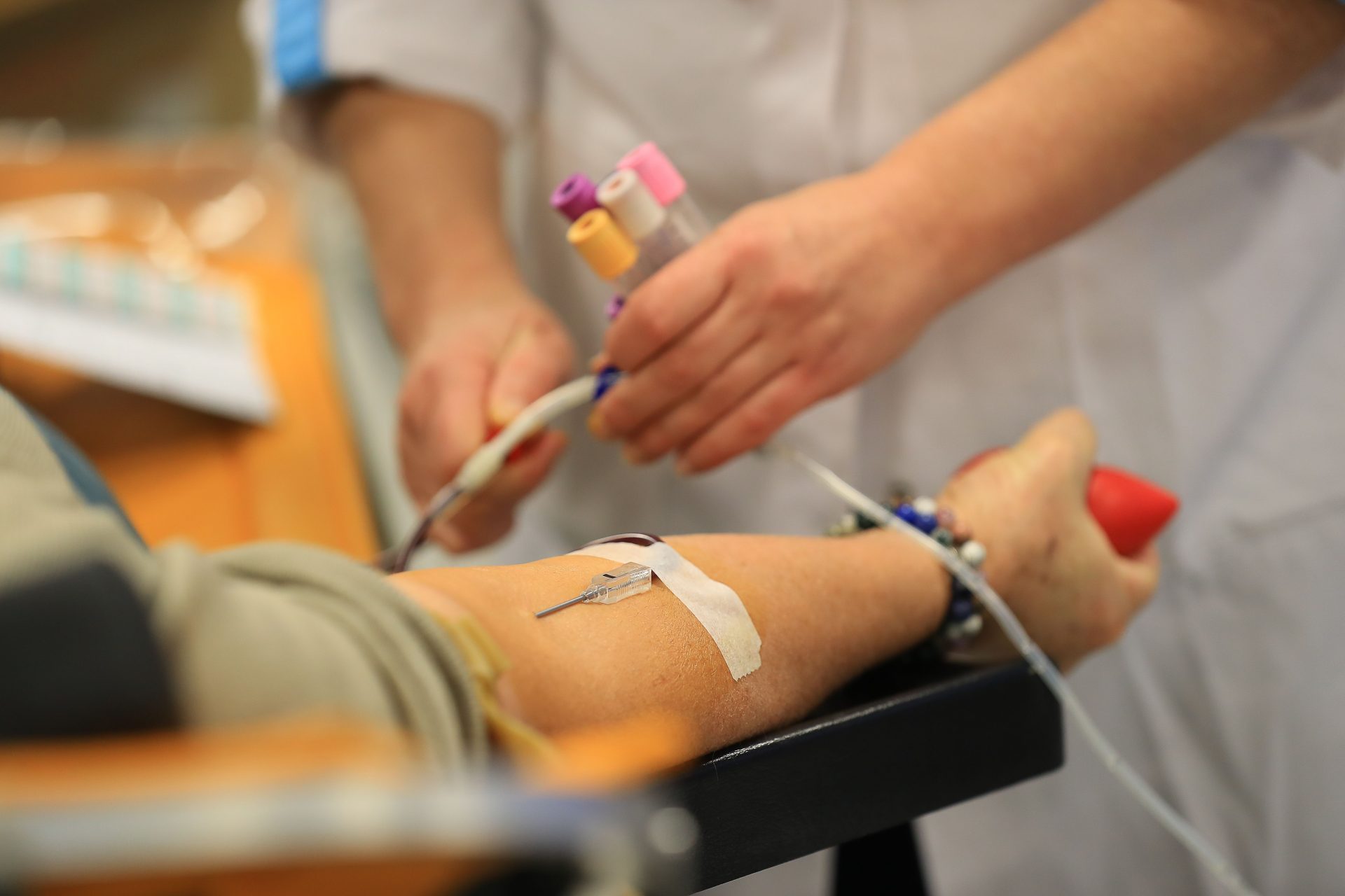 Pessac se mobilise pour sauver des vies : grande collecte de sang sur le campus